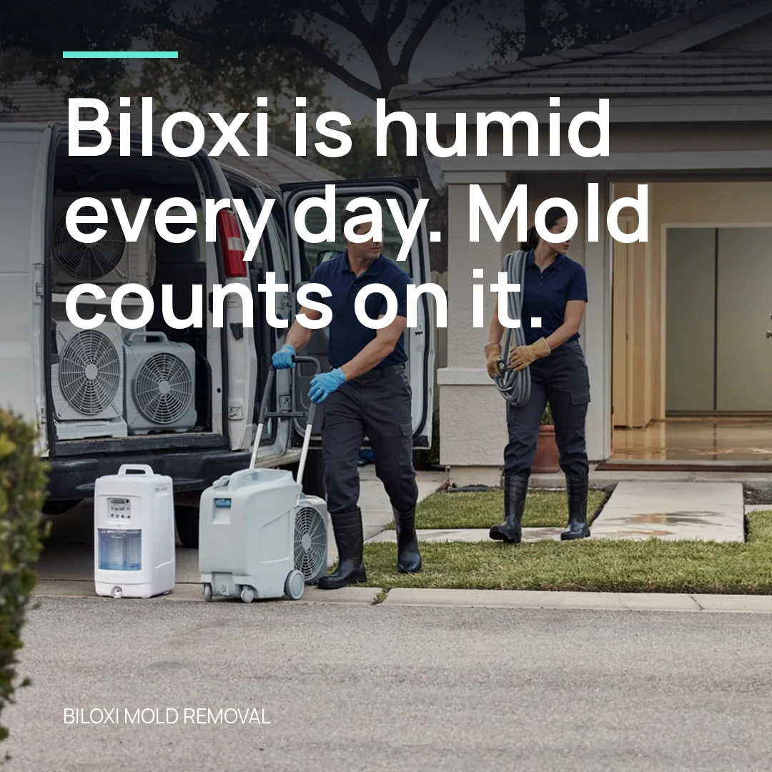 Biloxi is humid every day. Mold counts on it.